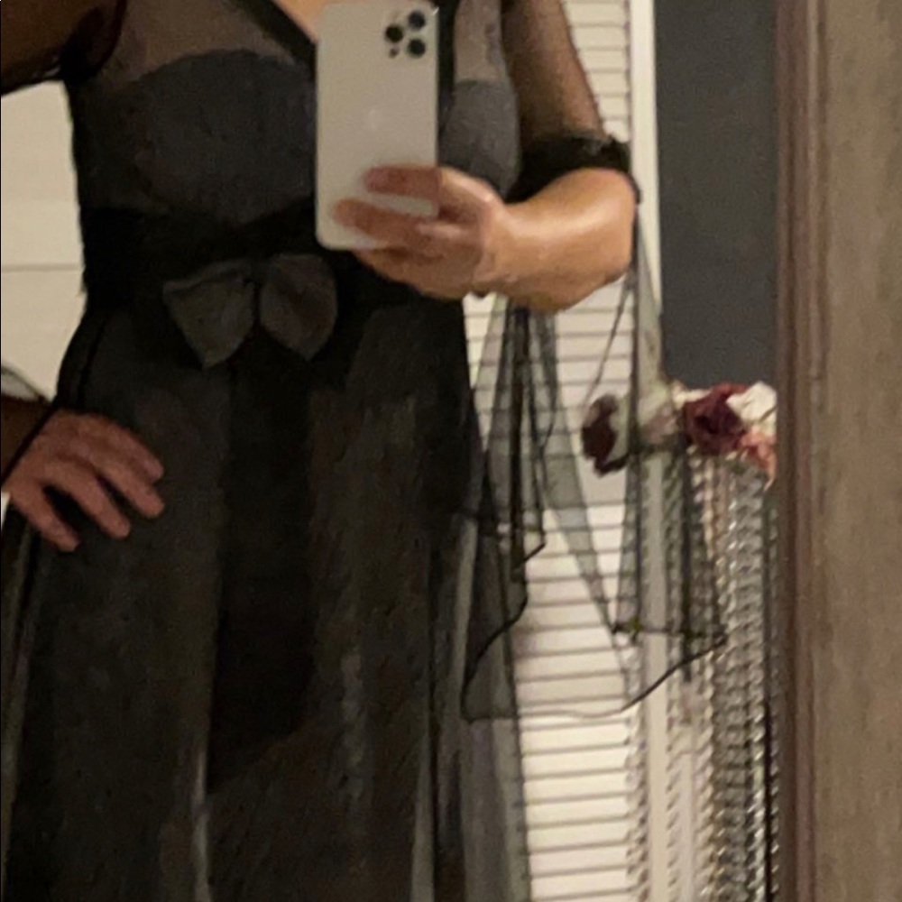 Fancy dress - Picture 5 of 10